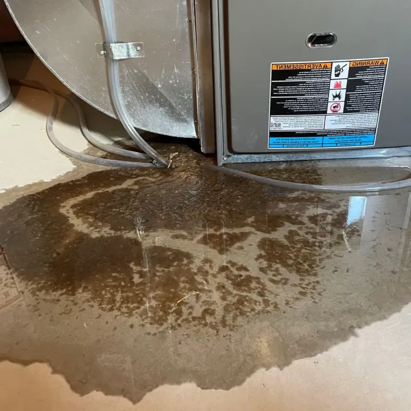 Pipe Burst and Leak Restoration in Hondo, TX